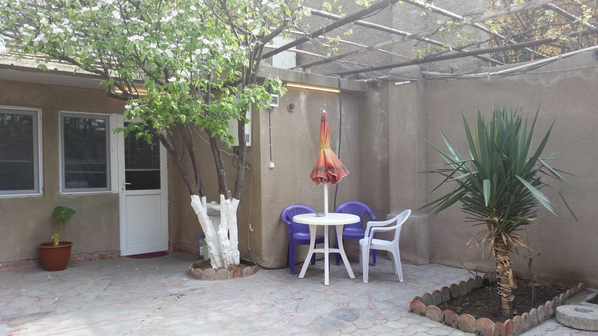 טביליסי Guest House Spartak מראה חיצוני תמונה